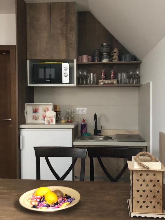 Apartmani Vidatela Kopaonik Extérieur photo