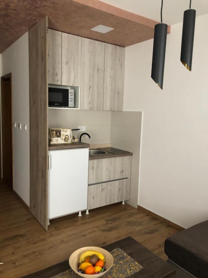 Apartmani Vidatela Kopaonik Extérieur photo
