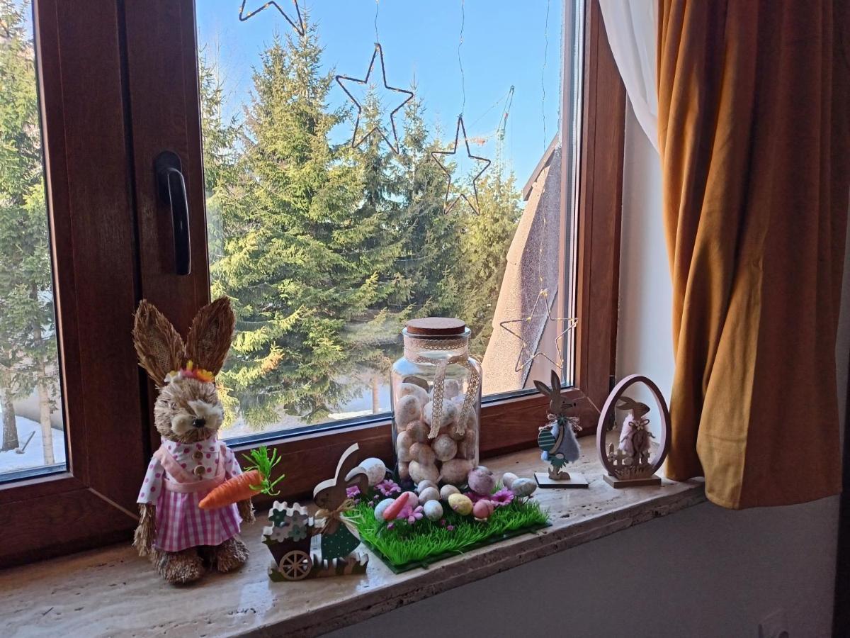 Apartmani Vidatela Kopaonik Extérieur photo